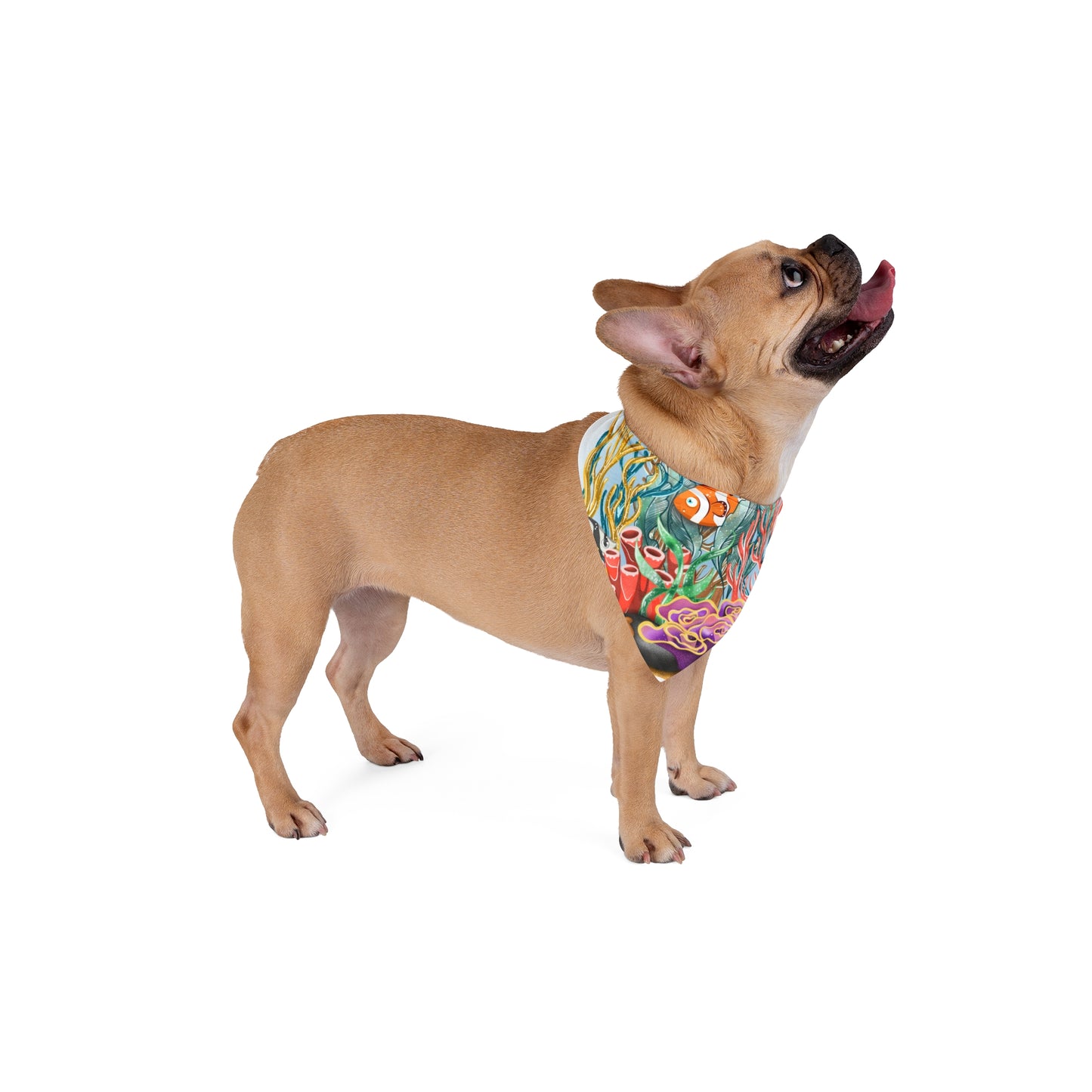 DOG CORAL BANDANA